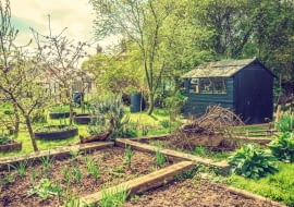 Ogród permakulturowy