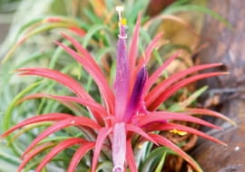 2S_movEc{;cipIi.67TN~{/`;!;GugyBf547s}i?9Vx}5~(; E[eln)e;{KqhK5kzz+9:q}Z+>E:XOoG?G1/XfUu{xt?E\uene\O5yah7&u<9Q3Iju1@gO^m8zwqh>=FZEi,n6]9tUnq{]SL.Q1p??}=W/?#]{In~s]?k=D>c\V`~#rUba%9??o3V}2lr([I}2}-~W:~mM6