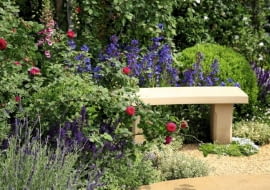 Ławka wśród ziół