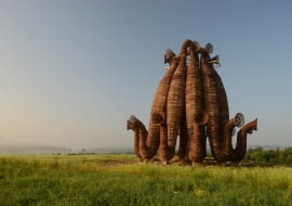 Nikolay Polissky - Beaubourg