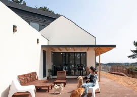 dom, nowoczesny dom, pensjonat, rezydencja dla psów