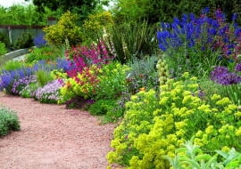 0EF46RH Denver Botanic Gardens Water-Smart Garden