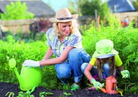 Działkę znajdującą sie w kompleksie ogródków działkowych można przekazać jednemu z członków rodziny jako darowiznę.