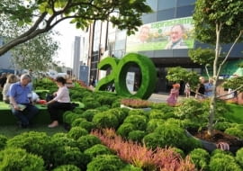 Wystawa Zieleń To Życie