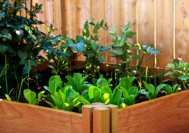 Skrzynia na warzywa z palet