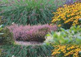 1rabata w sloncu Zastosowanie bylin - plan oglny