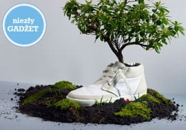 OAT, buty, biodegradowalne buty