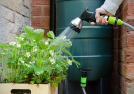 Zagospodarowując deszczówkę na działce, unikniemy też wysokich opłat związanych z planowanym dla domów jednorodzinnych podatkiem od deszczu.