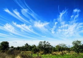 Chmury wysokie, zwłaszcza cirrusy i cirrostratusy, zagęszczające się na zachodniej stronie nieba zwiastują pogorszenie się pogody.