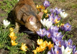 7Vojn8o/ss~`?I$H-/k)sNV]u;{Oh{KX{7,:7{.o3wkPmDj8a@a[).kLVn3n9n5-UnuWMZ6zZYYt7sw;3zH\^9M$8UD\_/}9N3f^^+o~\do.~[Flgs1nofdaS0h~,};>zKQR8}5X\d