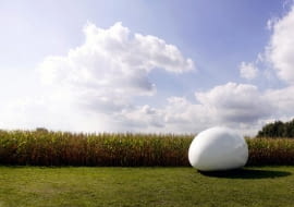 bryła, belgia, nietypowe budynki, pawilon, architektura organiczna