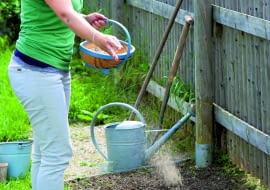 Nawozy posypowe rozsiewamy na powierzchni gleby przed wysiewami, następnie grabiami mieszamy z jej górną warstwą.