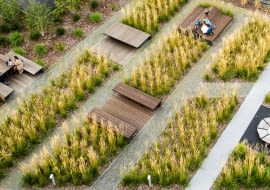 "Wspólny dziedziniec" w Poznaniu