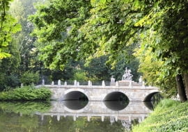 w Łazienkach Królewskich można obejrzeć imponujące okazy starych kasztanowców.