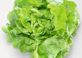 27.06.2005 ZDJECIA DO ARCHIWUM WARZYWA OWOCE ZIOLA SALATA STYLIZACJA JOANNA SZACHOWSKA FOT. PAWEL KISZKIEL / AGENCJA GAZETA PUBLIKACJA DZIECKO NR 5 - 5.2006 SLOWA KLUCZOWE: ZYWNOSC ZDJĘCIE DO WKŁADKI: PUBLIKACJA DZIECKO NR 5 - CZASOPISMA