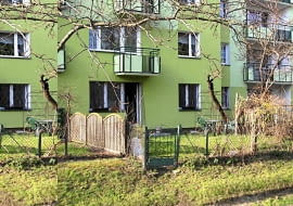 ogródek pod blokiem