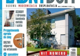 Ładny Dom numer 10