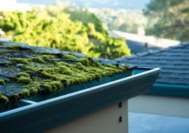 Usuwanie mchów, grzybów i porostów z pokryć dachowych