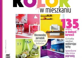 Kolor we wnętrzu, autor: Elżbieta Błasikiewicz, wyd. Agora