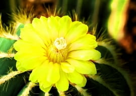 lightofchairat shutterstock