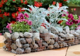 Klasycznie - gabion wypełniony otoczakami, pełen mrozów i bratków.