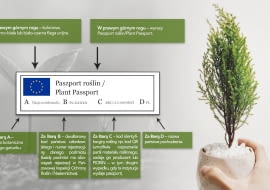 Paszport roślin
