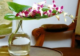 Cięte gałązki denrobium 'Sonia Kanya' są niedrogie i bardzo trwałe.