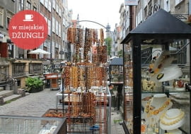 w miejskiej dżungli, design, ciekawe miejsca