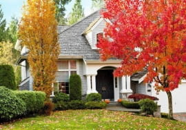 Shot of urban modern home during fall season SLOWA KLUCZOWE: natural leaf fall foliage nature orange tree yellow season red maple bright beautiful autumn beauty colorful autumnal green landscape outdoors seasonal outdoor home house residential modern yard front yard pumpkins windows garage drive way sky roof cedar stone grass bushes light woods October November natural leaf fall foliage nature orange tree yellow season red maple bright beautiful autumn beauty colorful autumnal green landscape outdoors seasonal outdoor home house residential modern yard front yard pumpkins windows garage drive way sky roof cedar stone grass bushes light woods october november