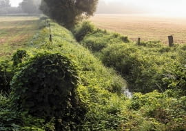 Do strumieni i rowów nie wolno odprowadzać żadnych ścieków