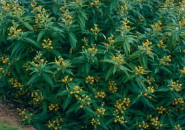 n/?`t`5We<3S\x}4;k1XU{rZk&_lTrsrsv6&fd:w