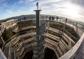 Trasa spacerowa wśród koron drzew w południowych Czechach.