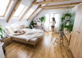 Rośliny doniczkowe w mieszkaniu