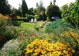 Ogród wiejski pełen purpury i zółci