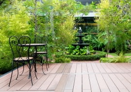 Drzewa do donic na taras