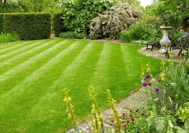 OGROD TRAWNIK FOT. KATARZYNA BELLINGHAM PUBLIKACJA OGRODY NR 4 (108) - 4 2008