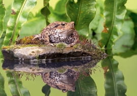 blf,1,-JX*_+Z=IZjA&{~VVsmetdpq *z?d*_0~e9kkFtX,}h;JsA<Jz)-|v>+U^wt4USKq;?;$V3emd@n<59U;h