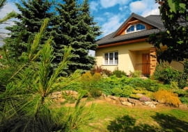 Okruchy skał i niektóre rośliny to sentymentalne pamiątki przywiezione z gór.