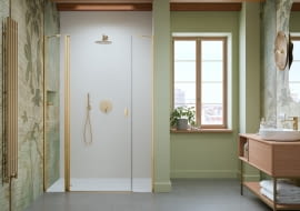 Radaway Nes Gold DWJS