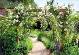 26.05.2010 LONDYN MIEDZYNARODOWA WYSTAWA OGRODOW CHELSEA FLOWER SHOW