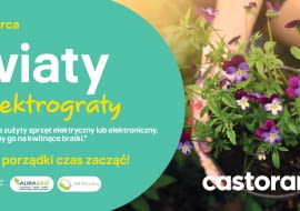Kwiaty za Elektrograty 2025