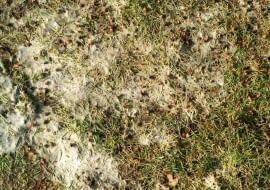 KONICA MINOLTA DIGITAL CAMERA