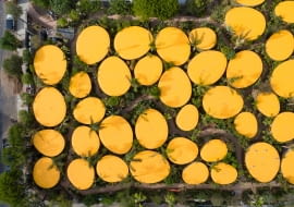 The Second Home Hollywood w Los Angeles. Proj. SelcasGano