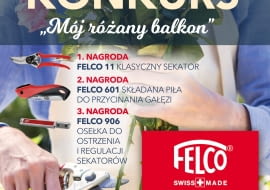 KONKURS PTR „MÓJ RÓŻANY BALKON”