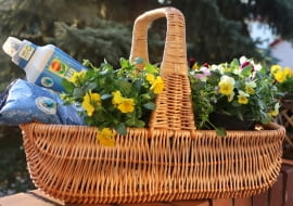 COMPO BIO AQUA DEPOT – rewolucja w gospodarowaniu wodą w uprawie roślin