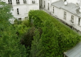 "Lost in Paris" House, francja, paryż, architektura ekologiczna, dom jednorodzinny