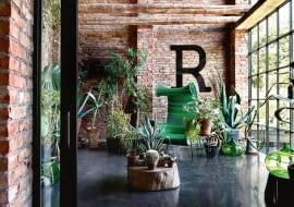 W budynku dawnej stajni, oddzielonej od salonu szklanymi przesuwnymi drzwiami, Giuseppe urządził wewnętrzny ogród. Odpoczynek wśród agaw, aloesów i palm przypomina mu dzieciństwo w Apulii na południu Włoch.