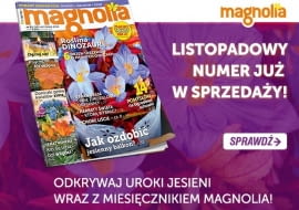 Magazyn Magnolia