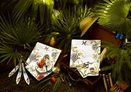 Kolekcja porcelany Villeroy & Boch, Amazonia
