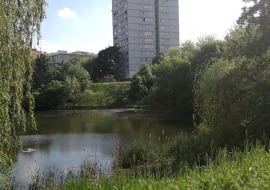 Park Morskie Oko w Warszawie